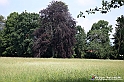 VBS_1534 - Castello di Miradolo - Mostra Oltre il giardino l'Abbecedario di paolo Pejrone